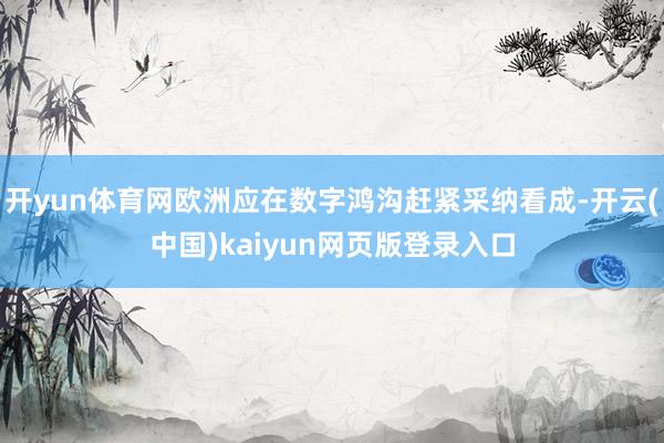 开yun体育网欧洲应在数字鸿沟赶紧采纳看成-开云(中国)kaiyun网页版登录入口