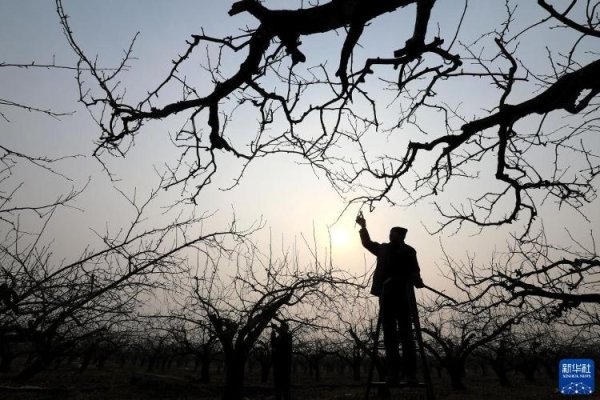 开yun体育网　　新华社记者 骆学峰 摄　　2月6日-开云(中国)kaiyun网页版登录入口